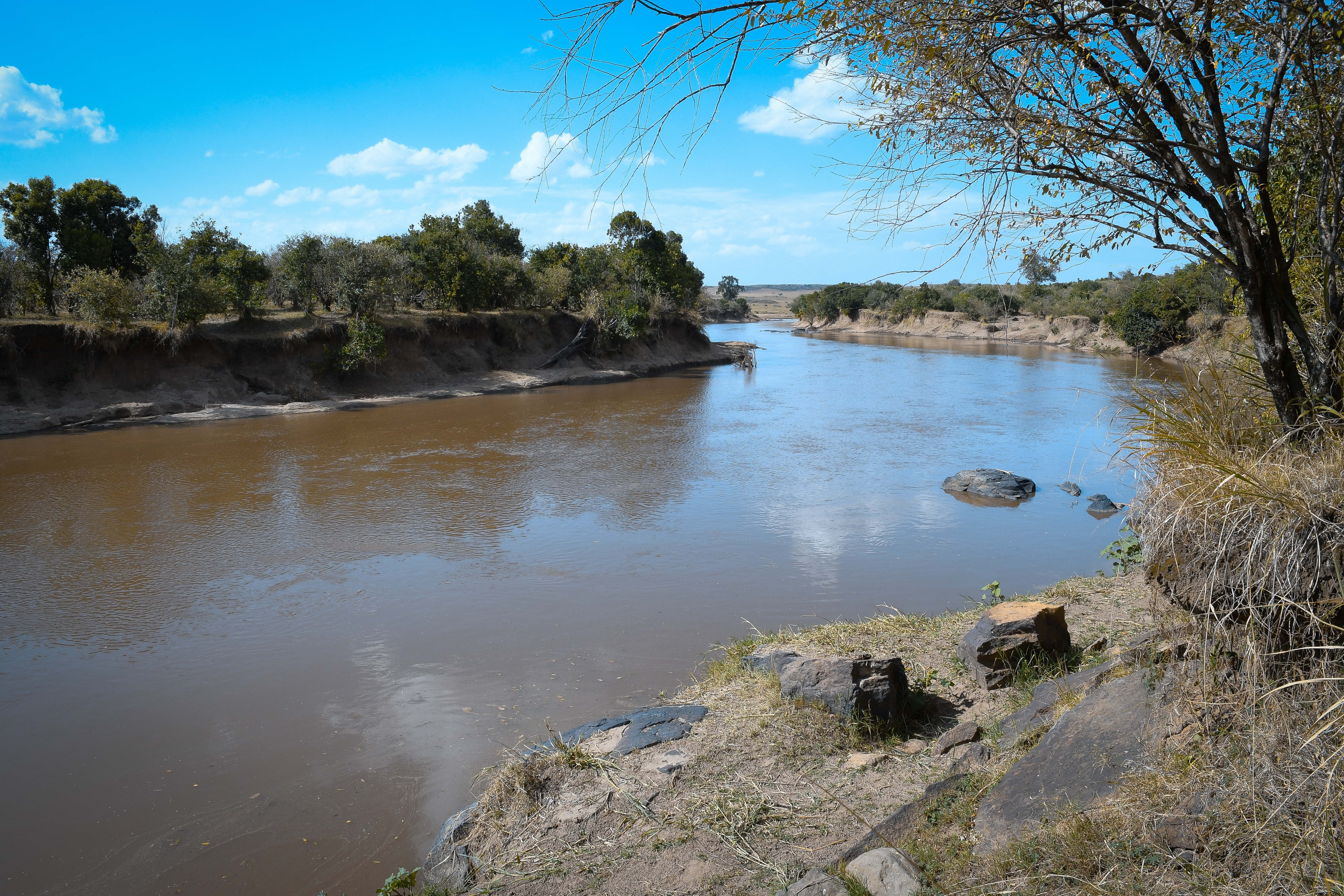 Masai Mara - Kenia | MAREFU Safaris