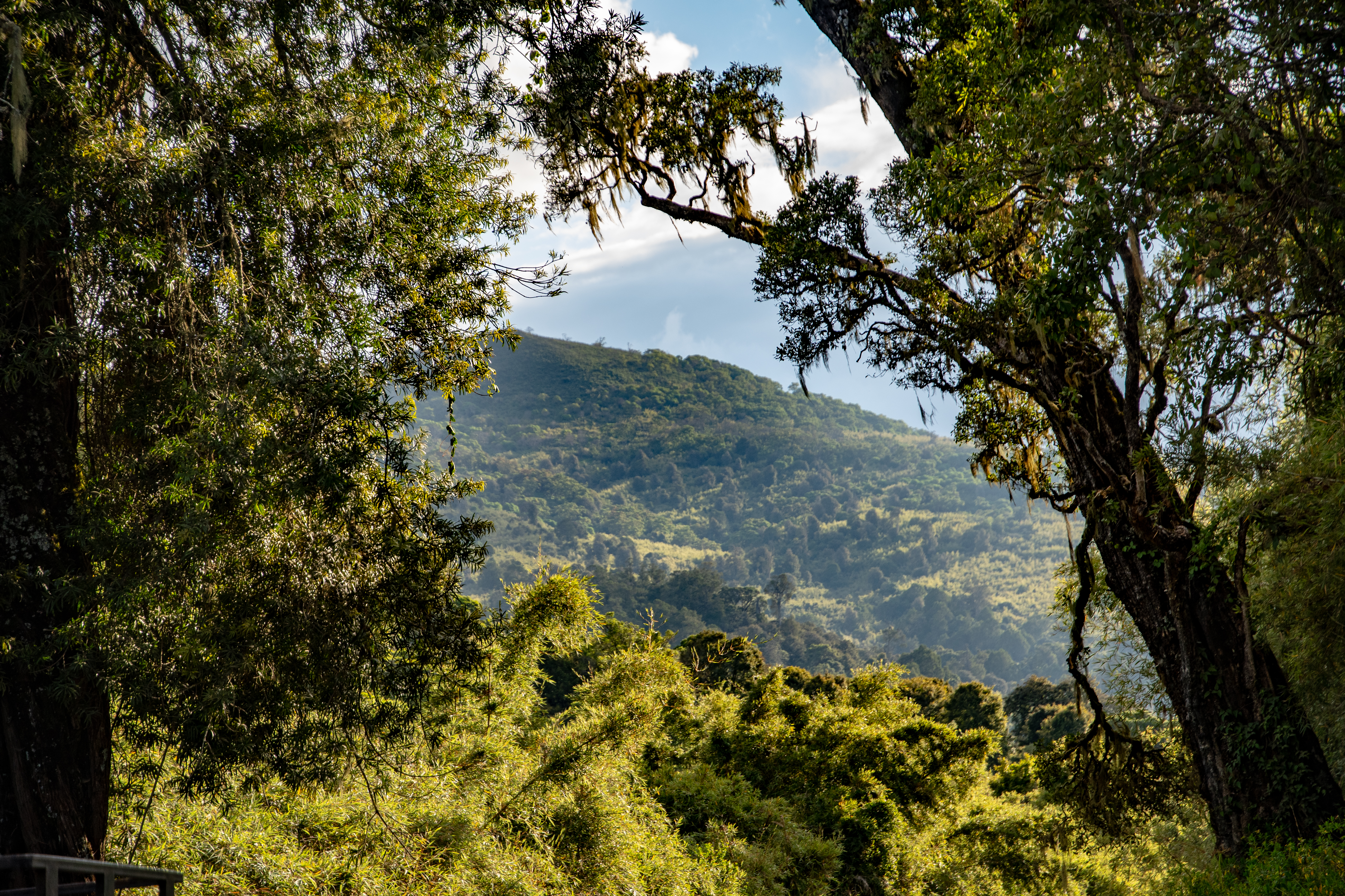 Aberdare Nationalpark | MAREFU