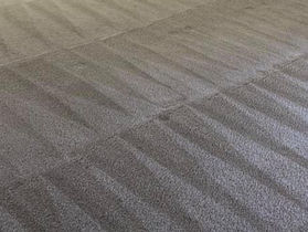 HOW LONG DOESE IT TAKE MY CARPET TO DRY?