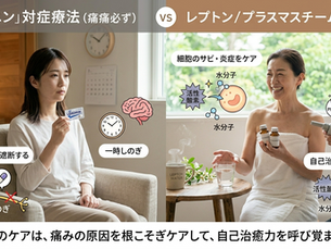 【徹底解説】ロキソニンとヌークのケア、その「真逆」の根本的な違いとは?