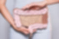 腸イメージ