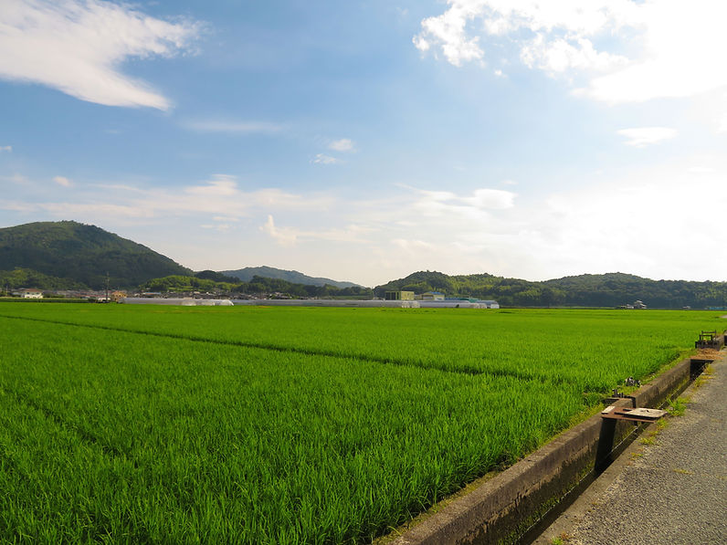 岡山県総社市の田園風景