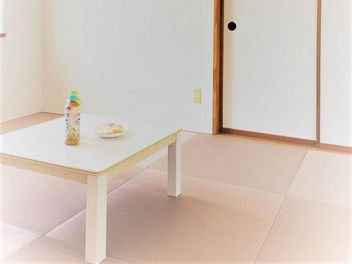 ヘリ無畳カラー表