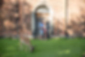 Donna & Darren: Engagement Photos at Dunham Massey
