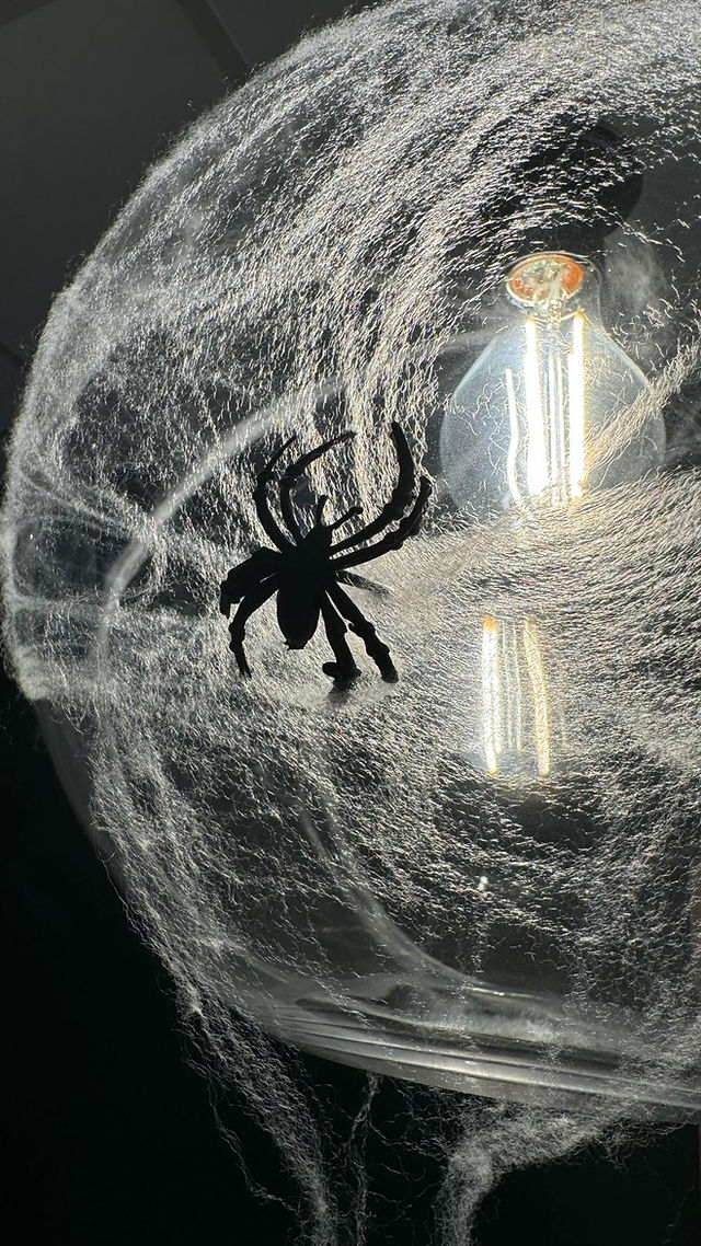 Lampe avec toile d'araignée
