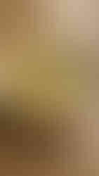 Soupe brocolis cheddar