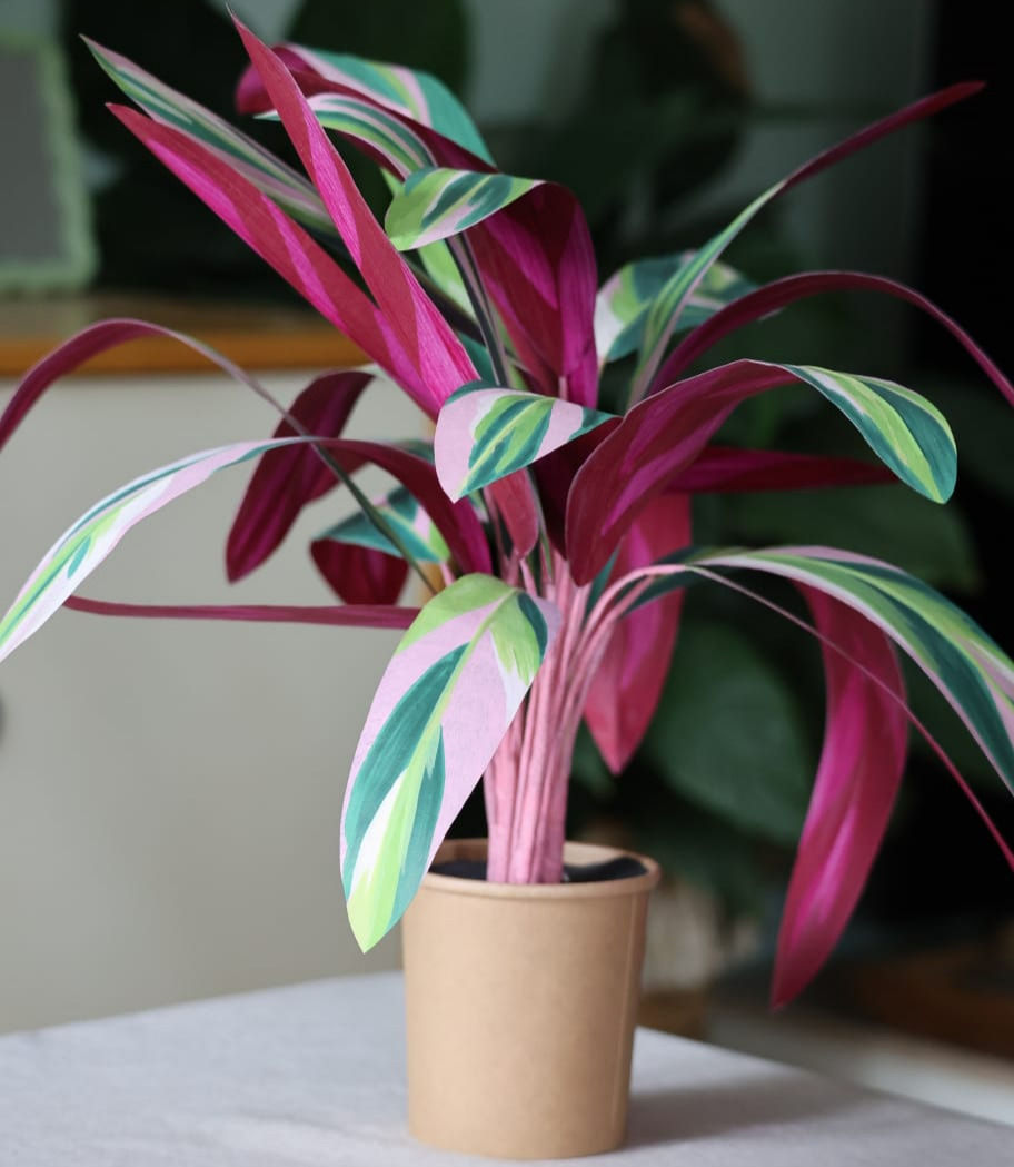 Atelier | Chill & Plant