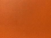 Orange.JPEG