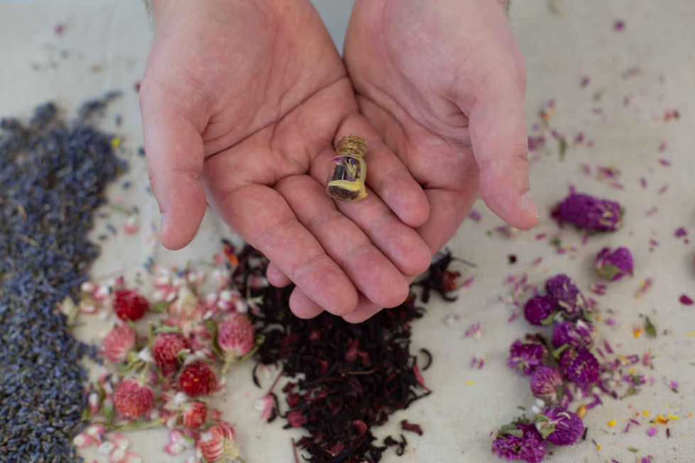 Care Is Now - Commnuity Engaged Herbalism Art With Artist Martina Maya-Callen-30