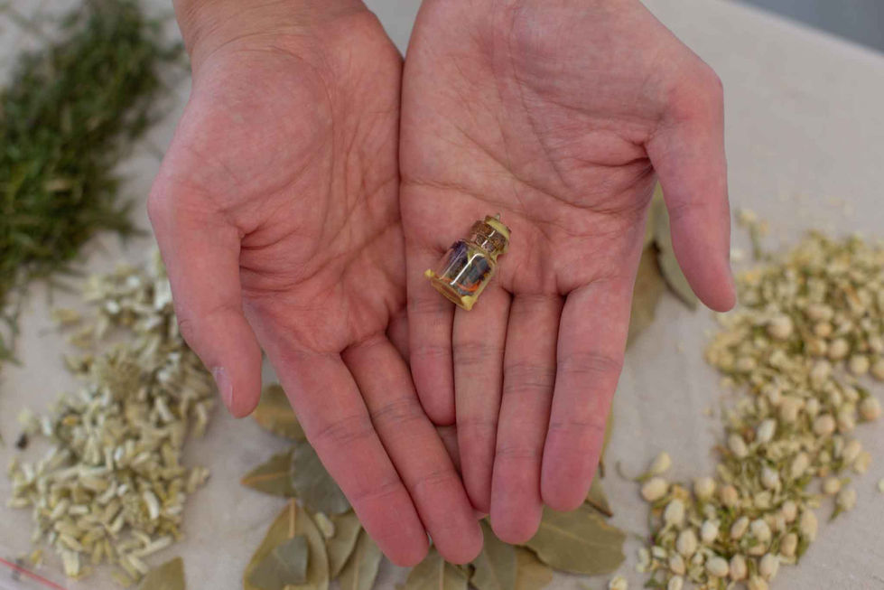 Care Is Now - Commnuity Engaged Herbalism Art With Artist Martina Maya-Callen-41
