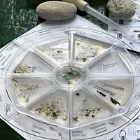 WRW-Testing-Biodiversity.webp