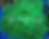 Toxic Green torch