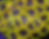 JF Acid Reflux zoa