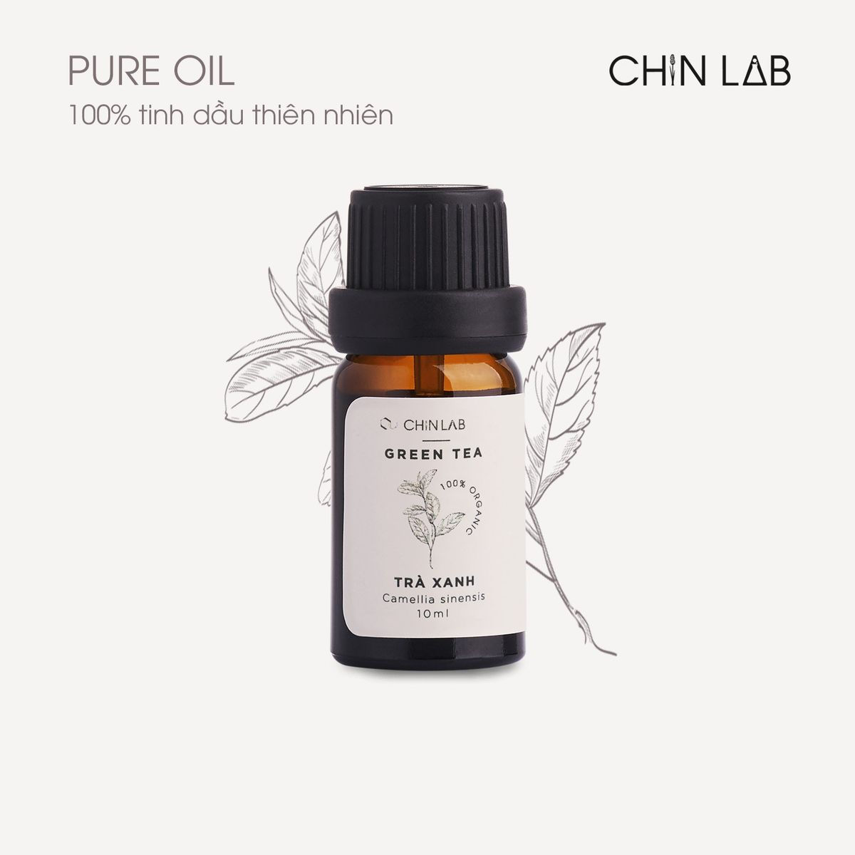 TINH DẦU TRÀ XANH (CAMELLIA SINENSIS) 10ML - CHINLAB