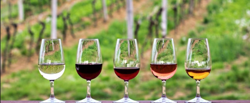Wine Tasting with Sisterhood & Brotherhood