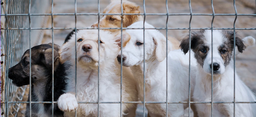 Screenshot 2025-08-27 at 3.28.43 PM.png