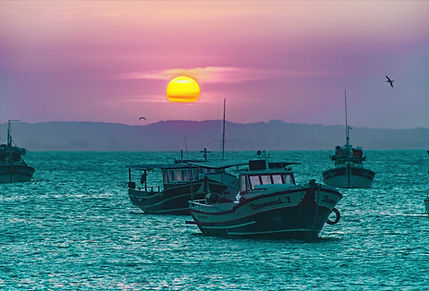 Sunset at Water_edited.jpg