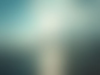 Inspeção Naval: Garantindo Segurança em Navios e Plataformas