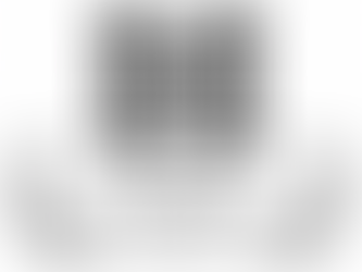 Paused: Housekeeper / Household Assistant