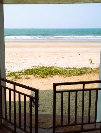 Ocean view from veranda gate