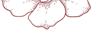 image_edited.png