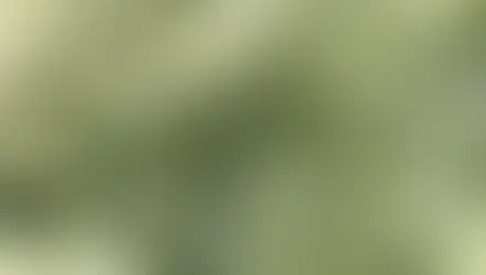 Prehnit Taşı Faydaları ve Özellikleri