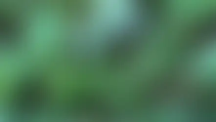 Krizopras Taşı Özellikleri ve Faydaları