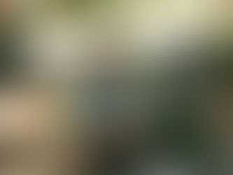 Lil Wins: What I Learned Launching and Selling 15outof10.com