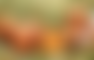 ГОРОДСКИЕ СЮЖЕТЫ,
ЯЙЦА