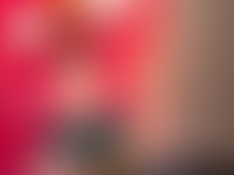 Weekly Wrap #32: Pizza Arbitrage, Bed Photographers and Maggots