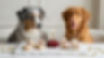 Rose Bouquet Set - mit Hunden.jpeg