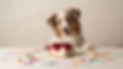 Birthday Heart mit Hund 7 2.jpeg