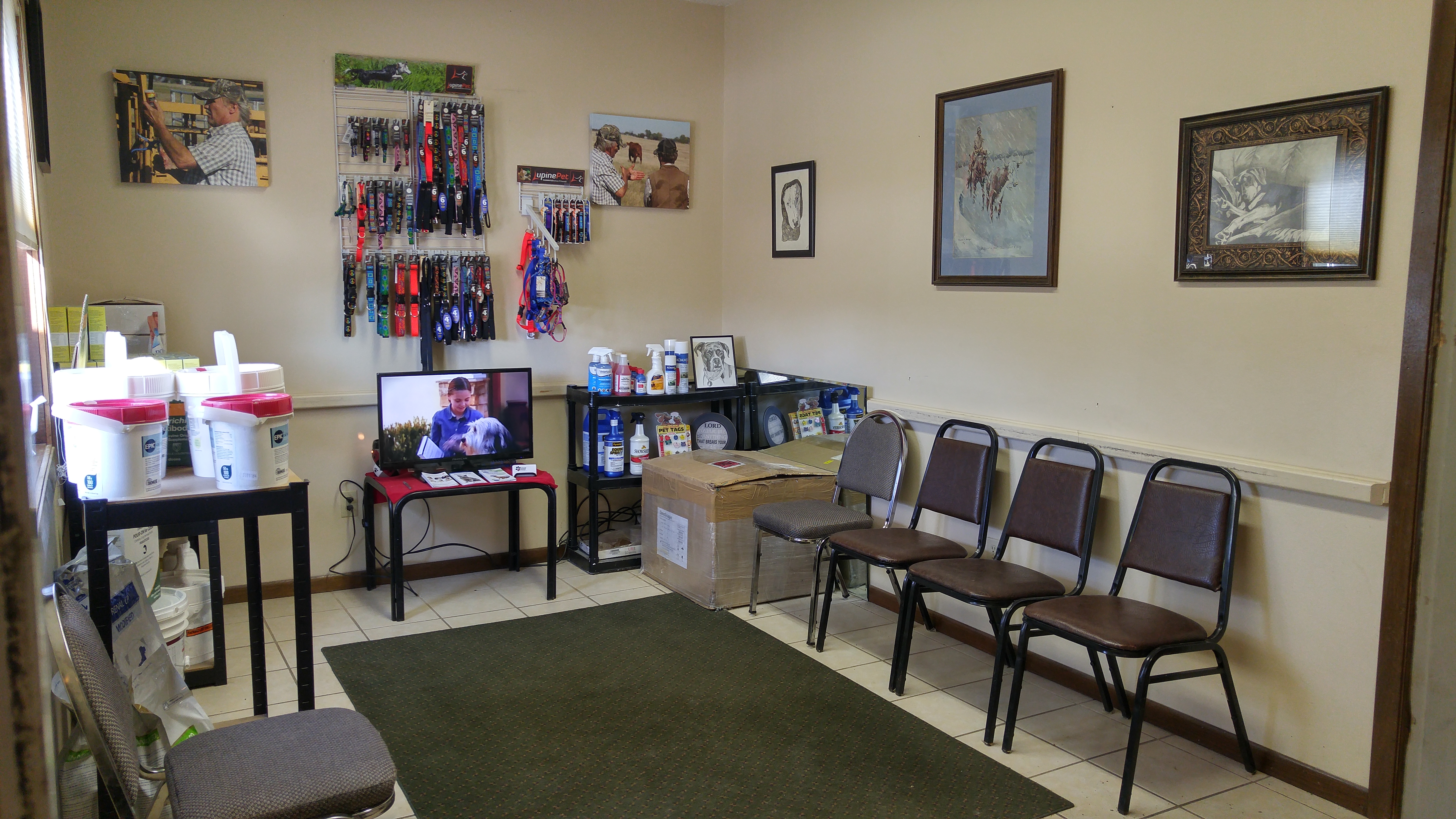 small vet clinic near me