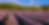 Screenshot 2025-05-28 at 10.38.15 AM.png