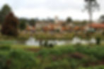 Campos do Jordão
