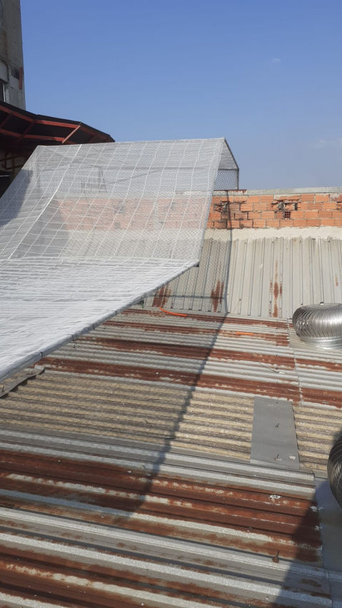 proteção vizinhho 9 - Jouberth luis Silva Ribeiro.jpeg