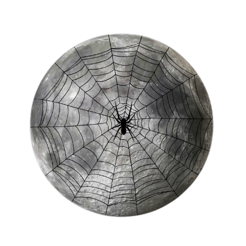 MoonMedia Creative Team - Professional Affordable Website Designers