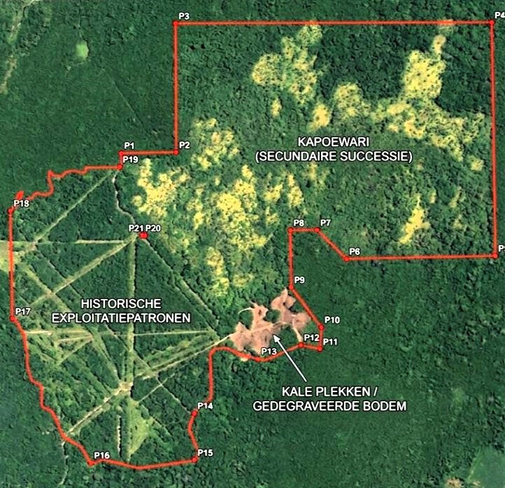 Karte mit dem Siedlungsgebiet in Suriname für Mennoniten aus Belize(Shipyard und Indian Creek)