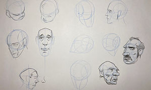 IMG_2956.jpeg
