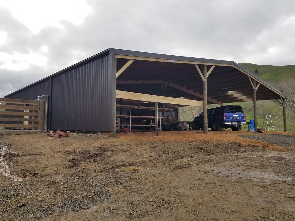 Bull selling shed
