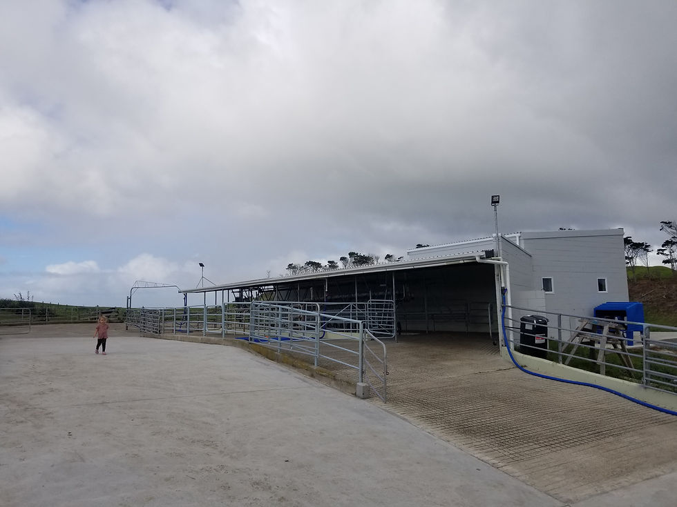 Cowshed Restoration