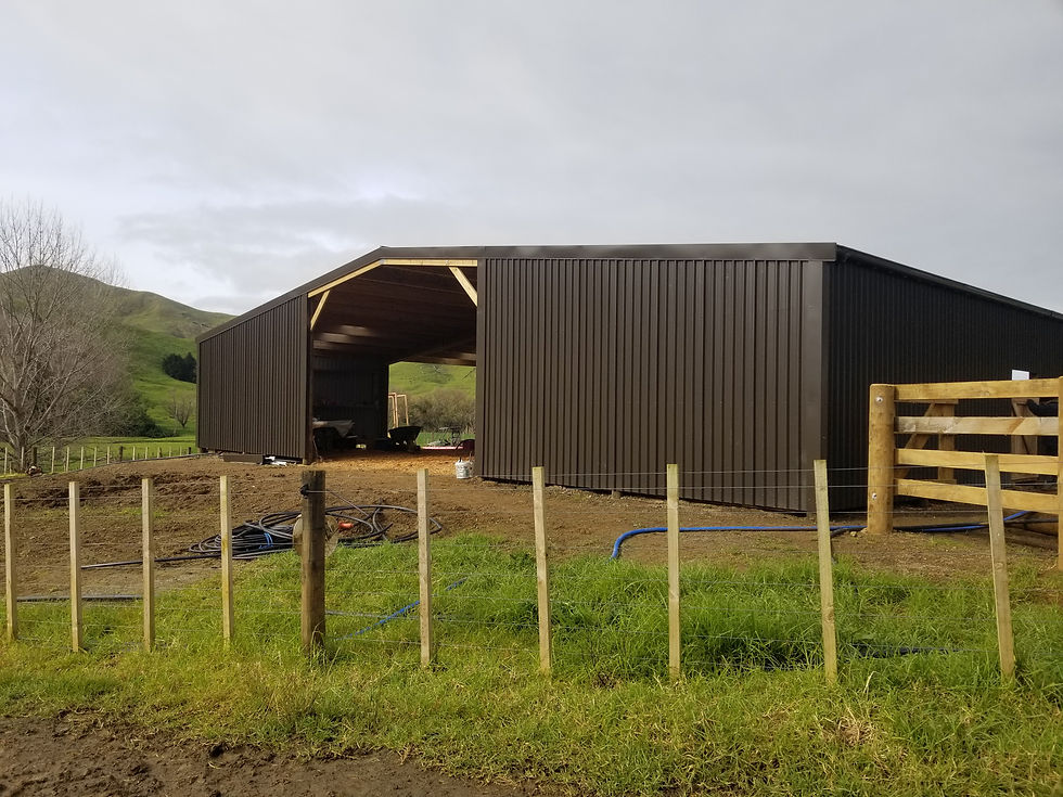 Bull selling shed