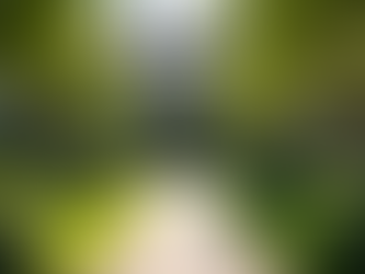 High-End Home Upkeep: Luxury Home Maintenance Essentials You Can’t Miss