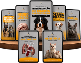 Mockup das telas para o Site (1)_edited.png