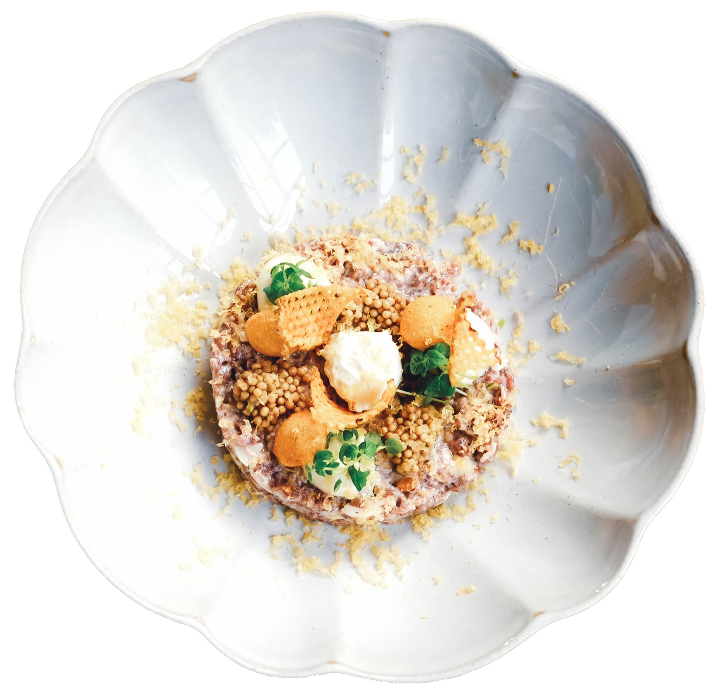 tartaartrans8grond (1 van 1).jpg