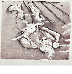 parrot on John's back pen and wash drawing