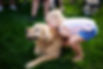 IMG_0958.jpeg