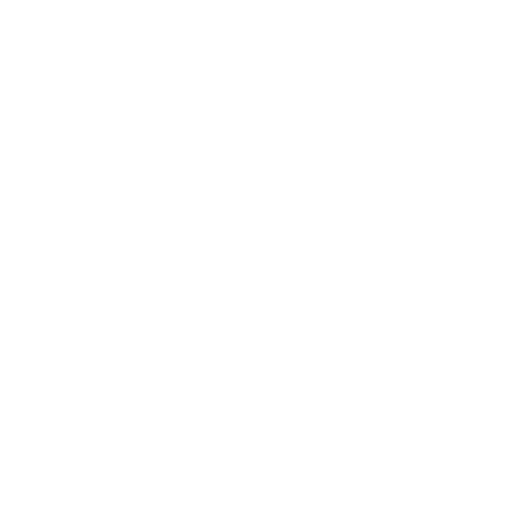 LinkedIn Icon White.png