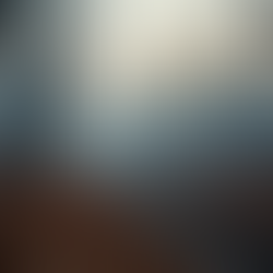 The Crucial Role of Education in Wildfire Prevention Strategies