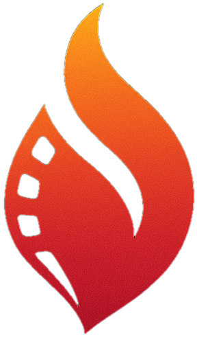 Writer: Wildfire Team